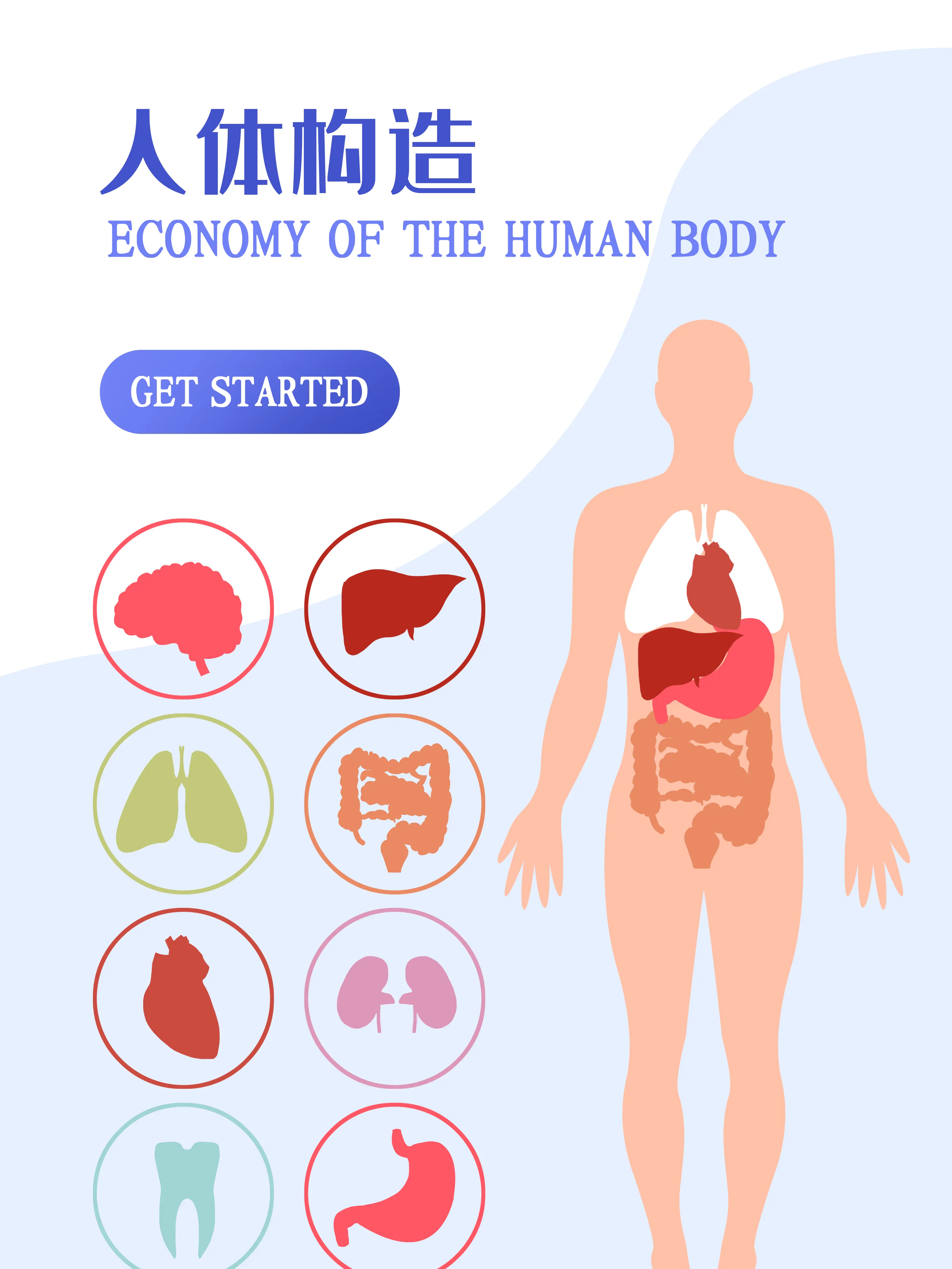 人體構造小科普漫畫封面图片