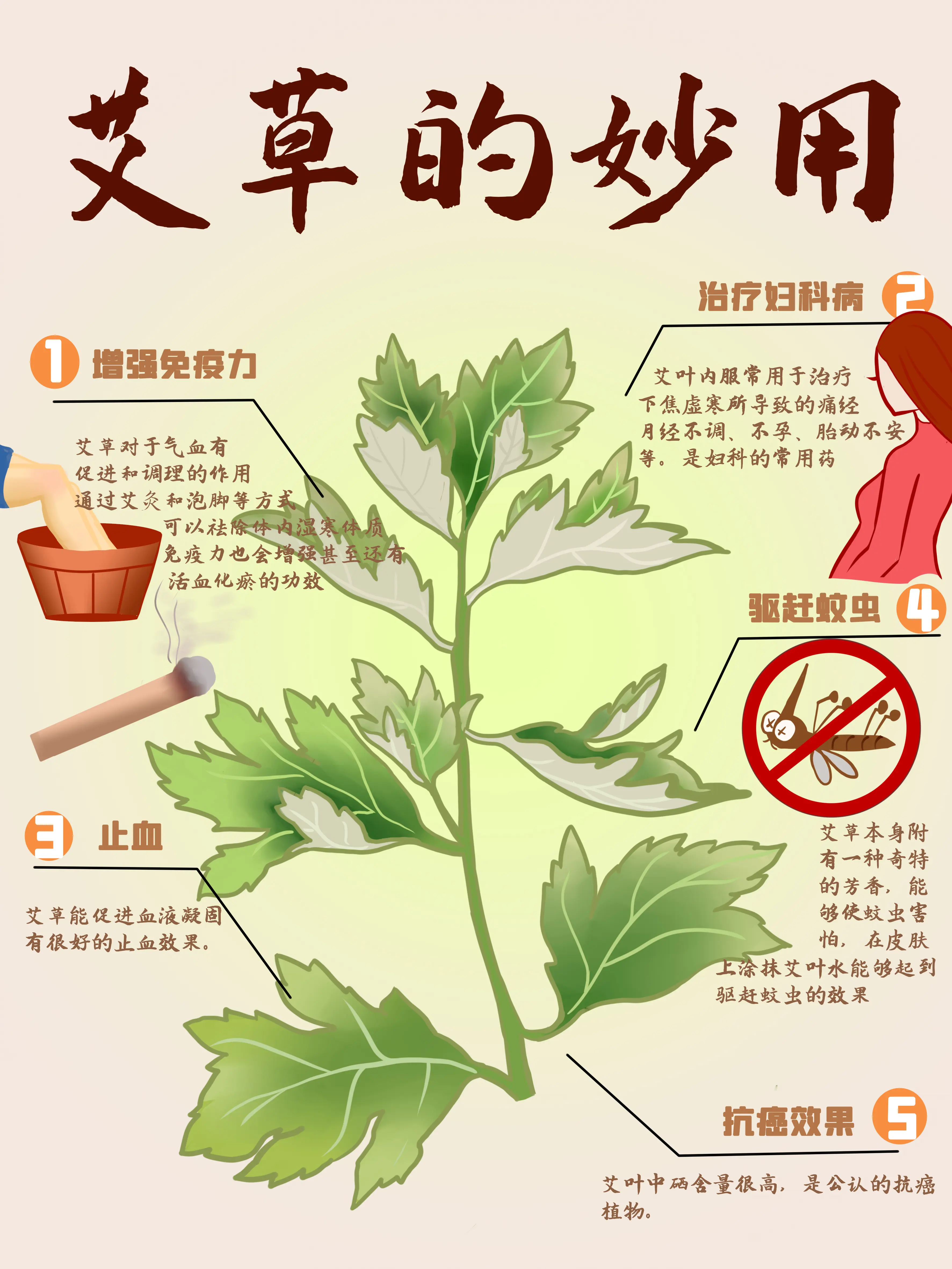 艾草的妙用漫畫封面图片