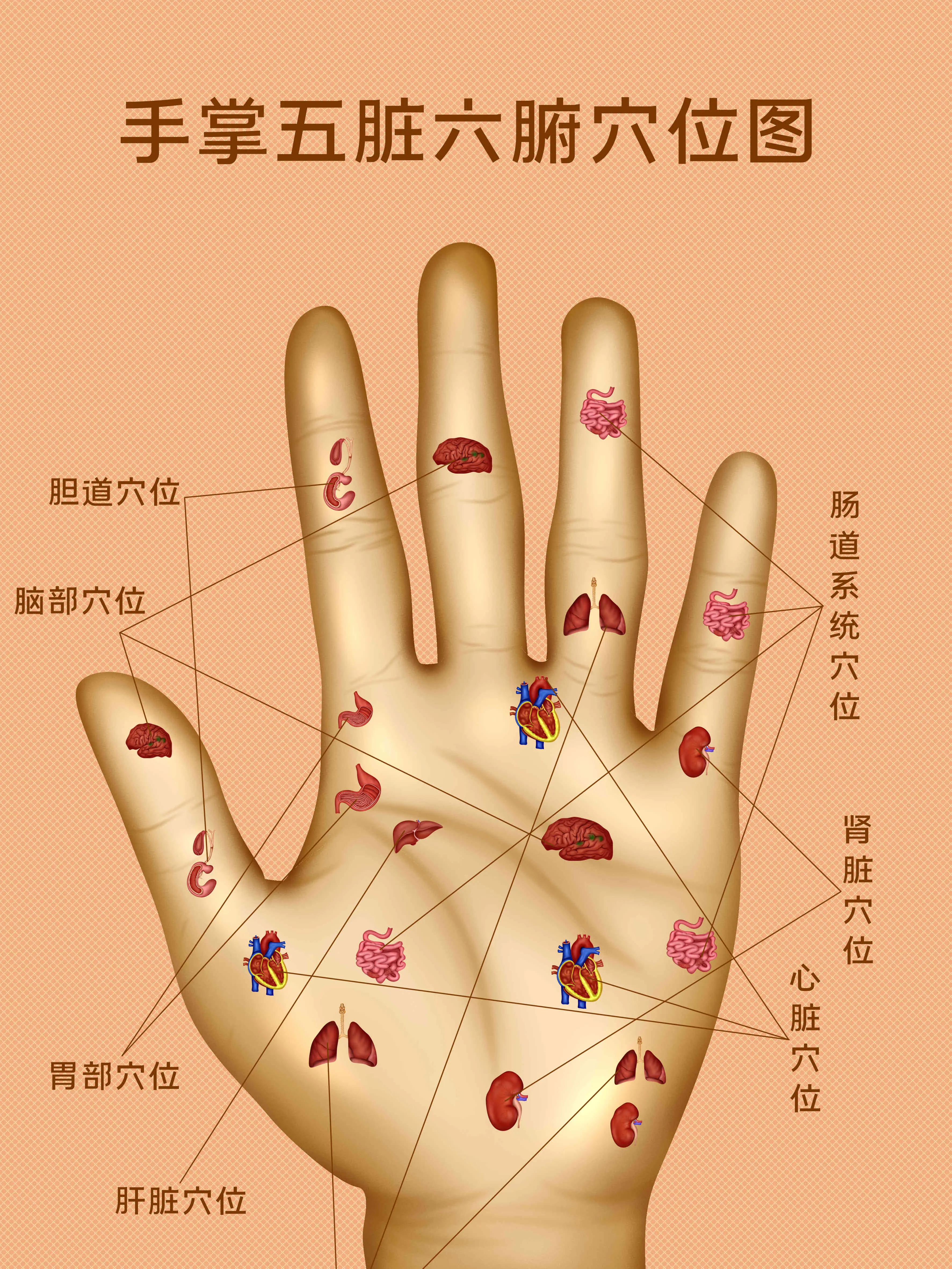 手掌穴位結構知識小科普漫畫封面图片