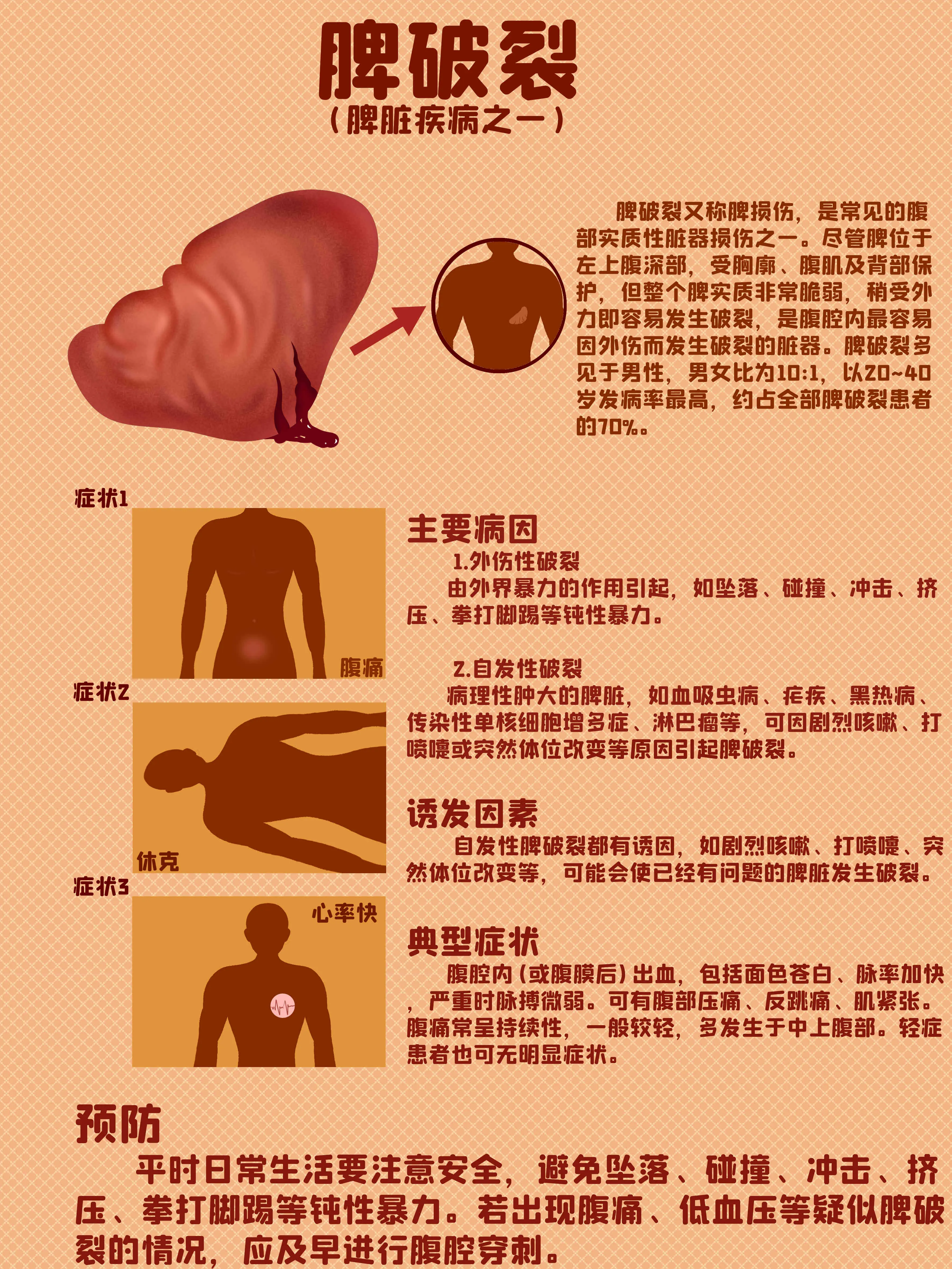 脾髒破裂知識小科普漫畫封面图片
