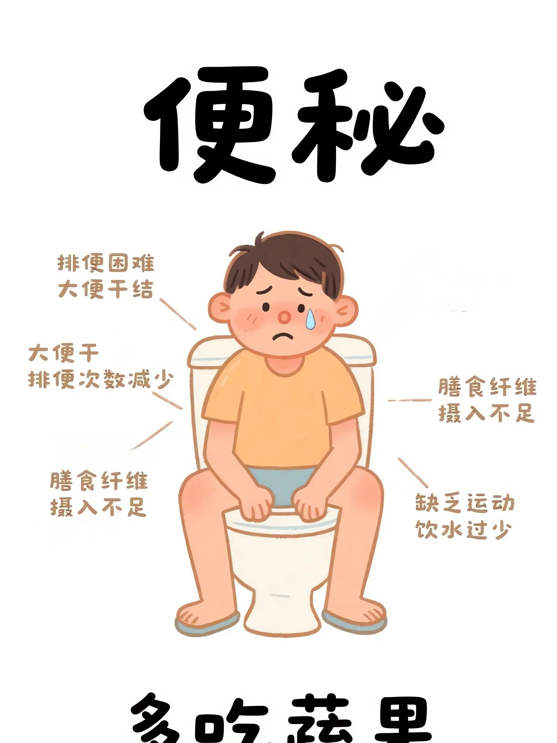 便秘：腸道的