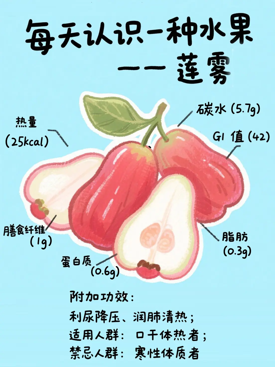 蓮霧知識大課堂漫畫封面图片