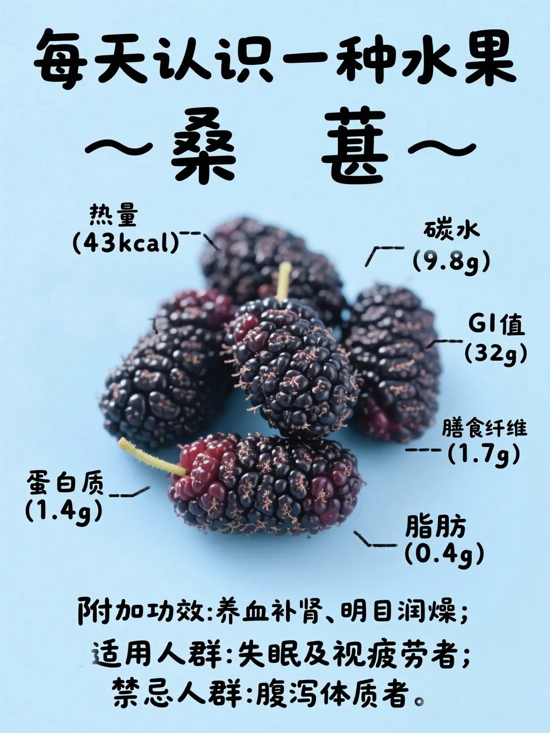桑椹知識大課堂漫畫封面图片