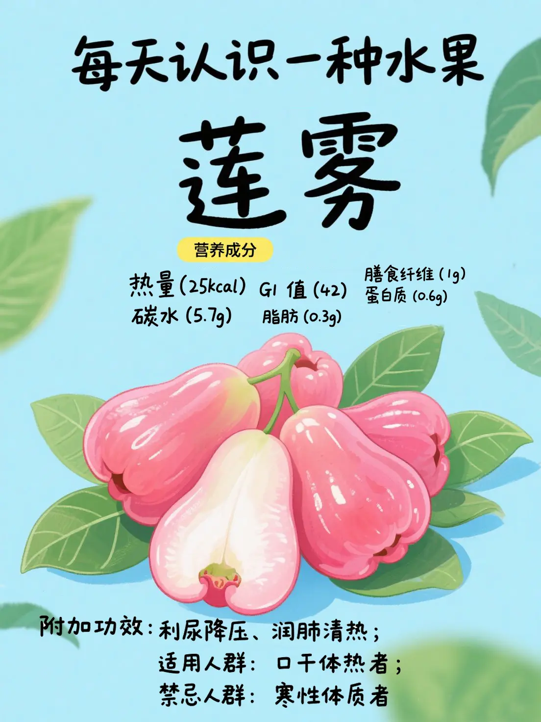 蓮霧知識大課堂漫畫封面图片