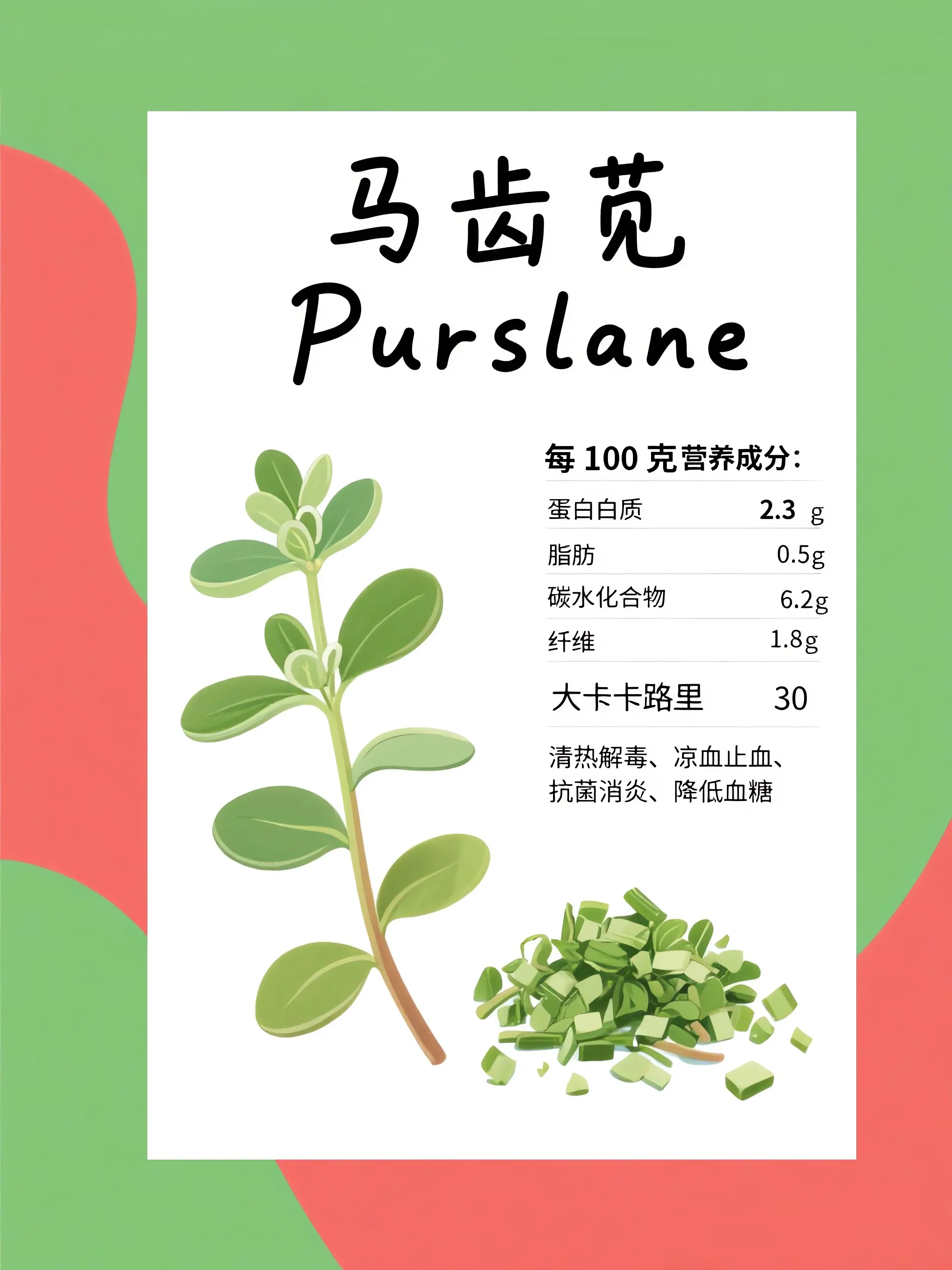 馬齒苋知識小課堂漫畫封面图片