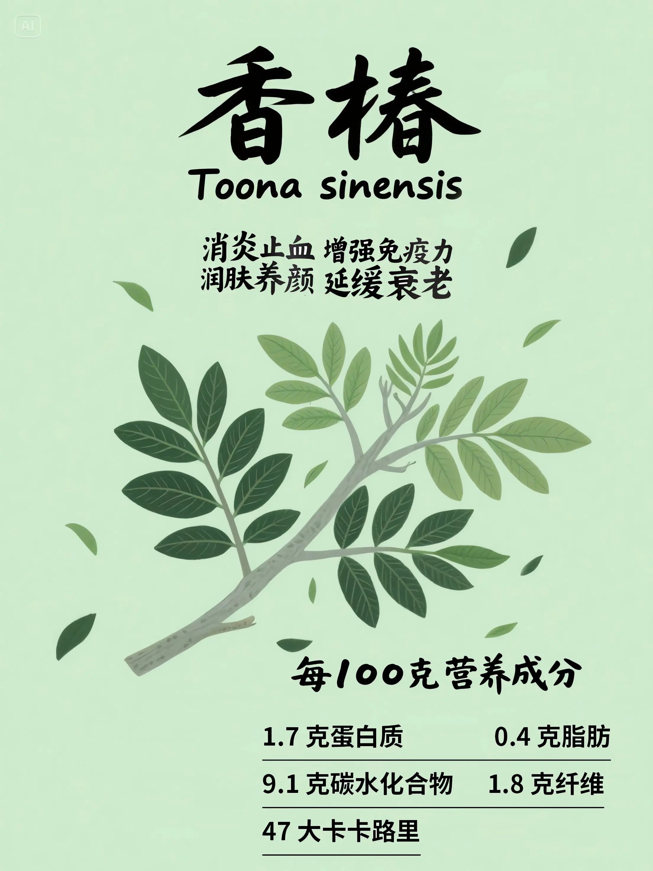 香椿知識小課堂漫畫封面图片