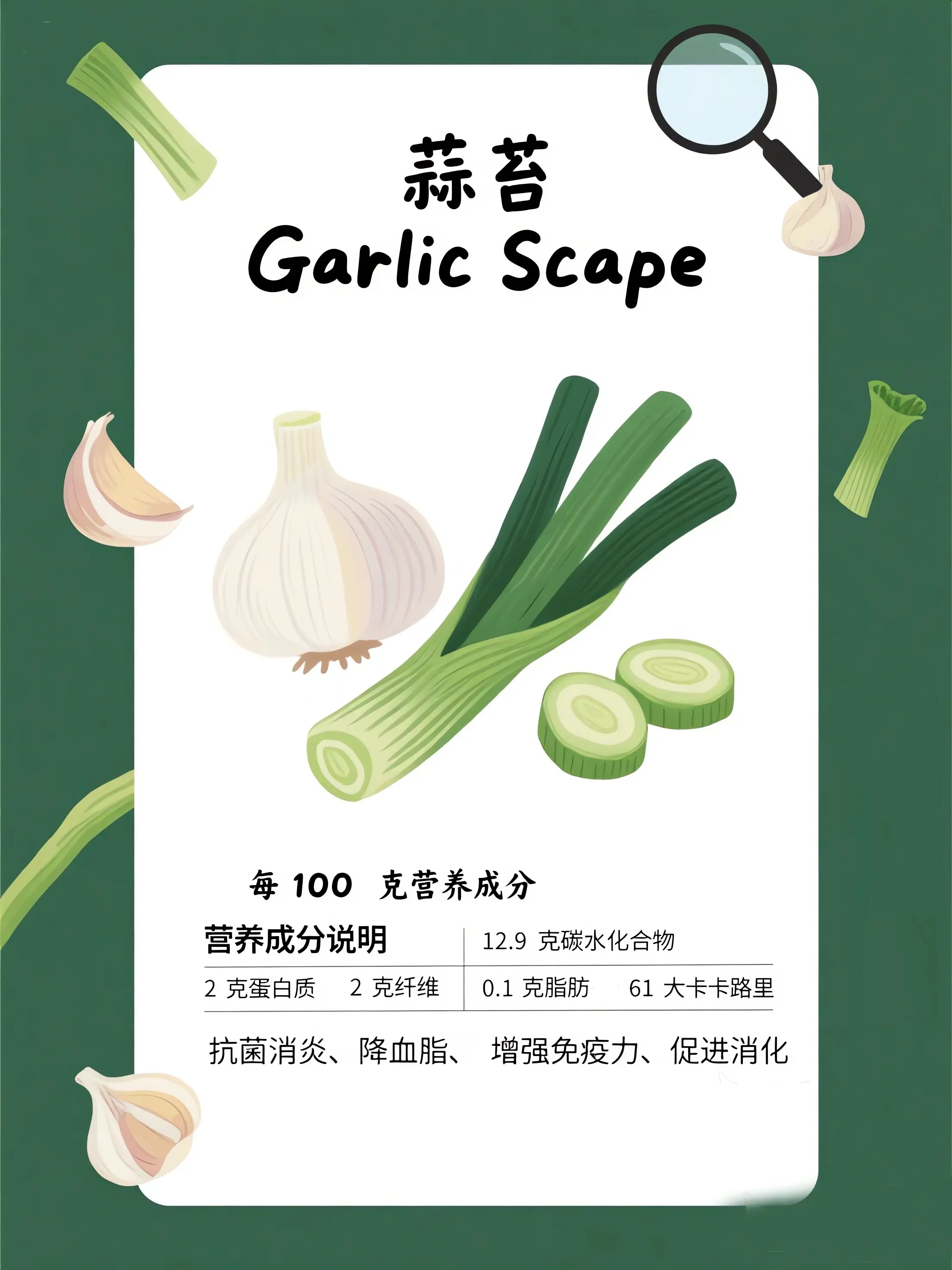 蒜苔知識小課堂漫畫封面图片