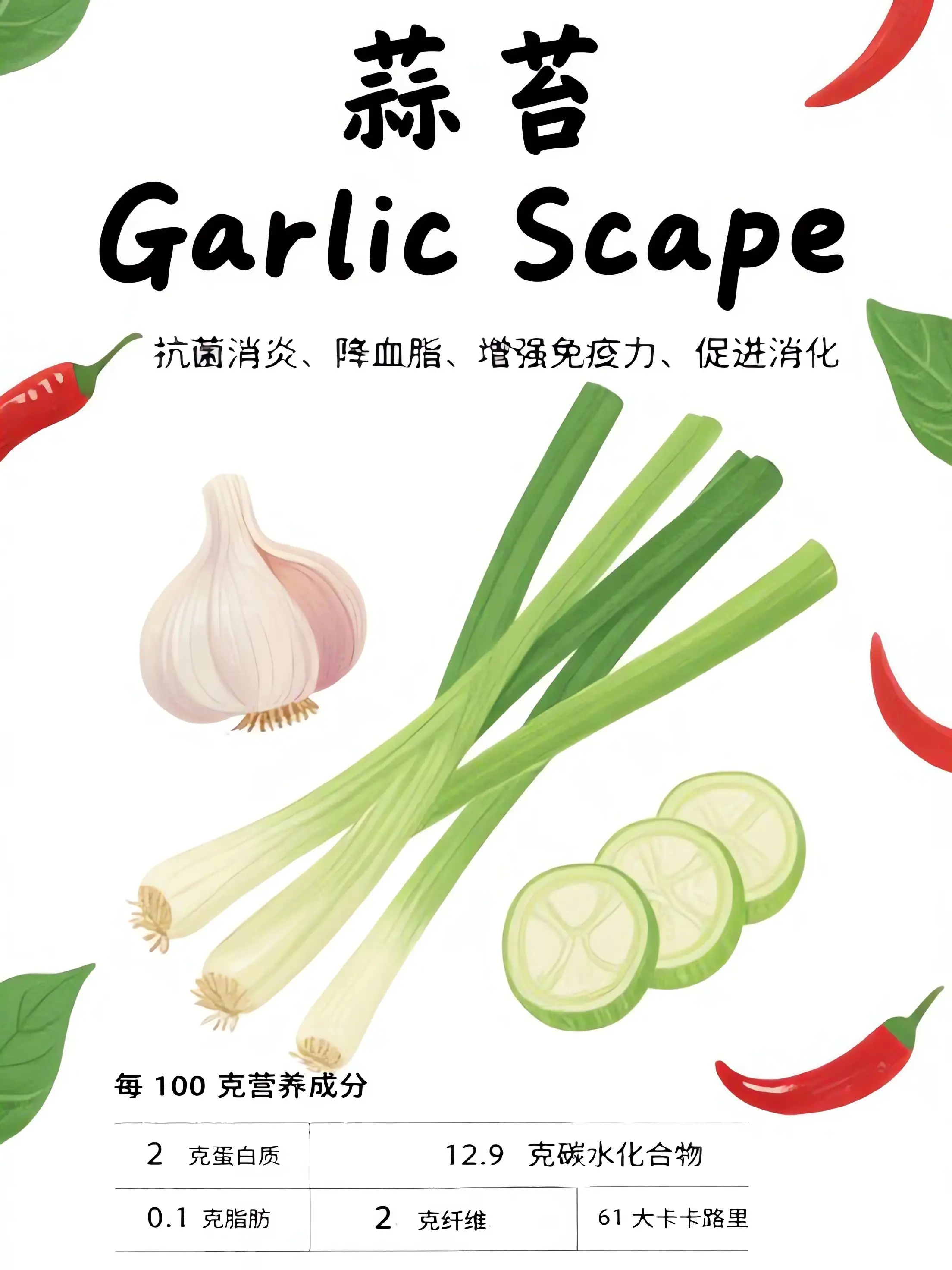 蒜苔知識小課堂漫畫封面图片