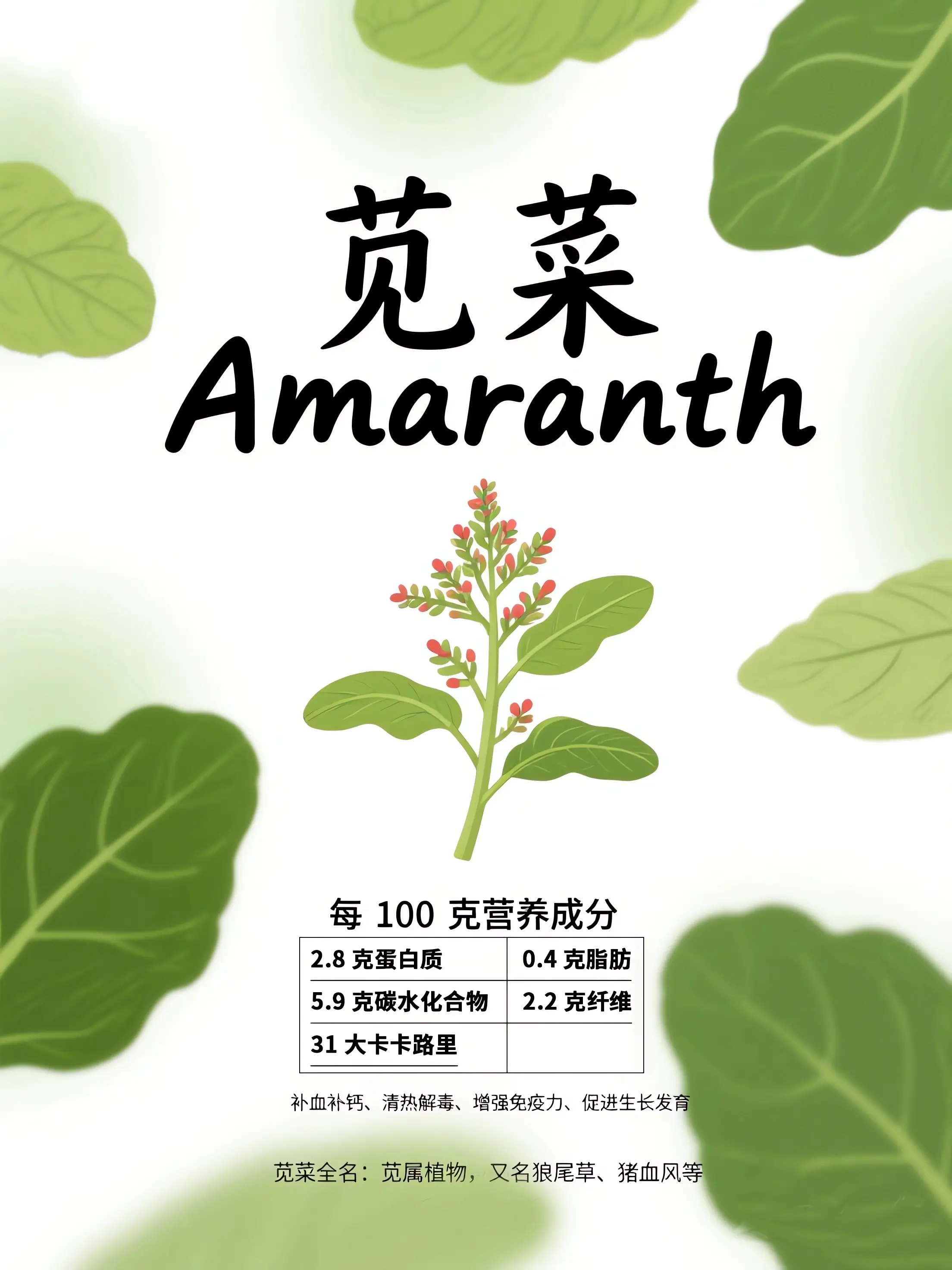 苋菜知識小課堂漫畫封面图片