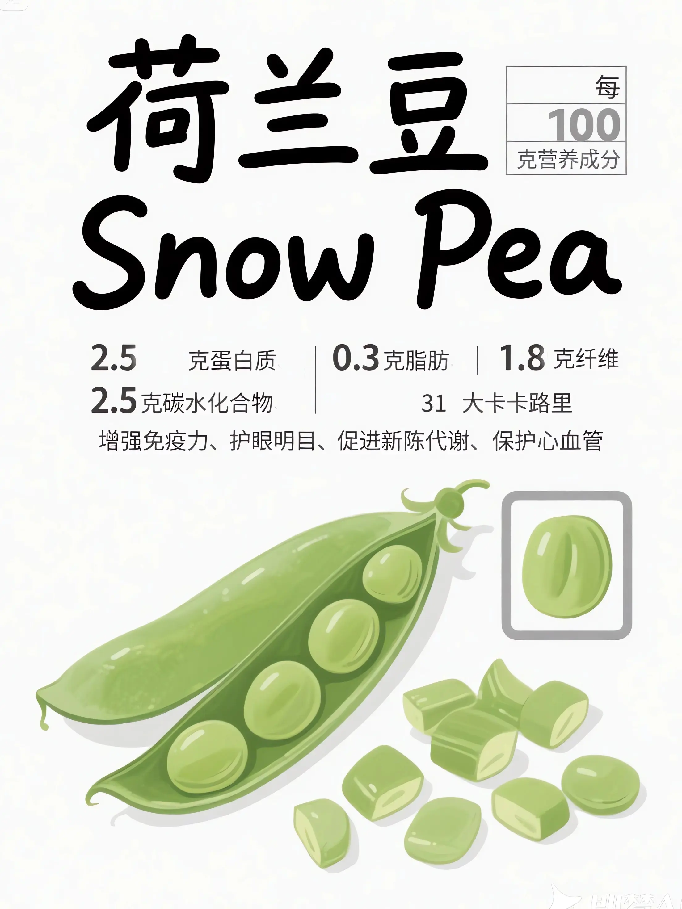 荷蘭豆知識小課堂漫畫封面图片
