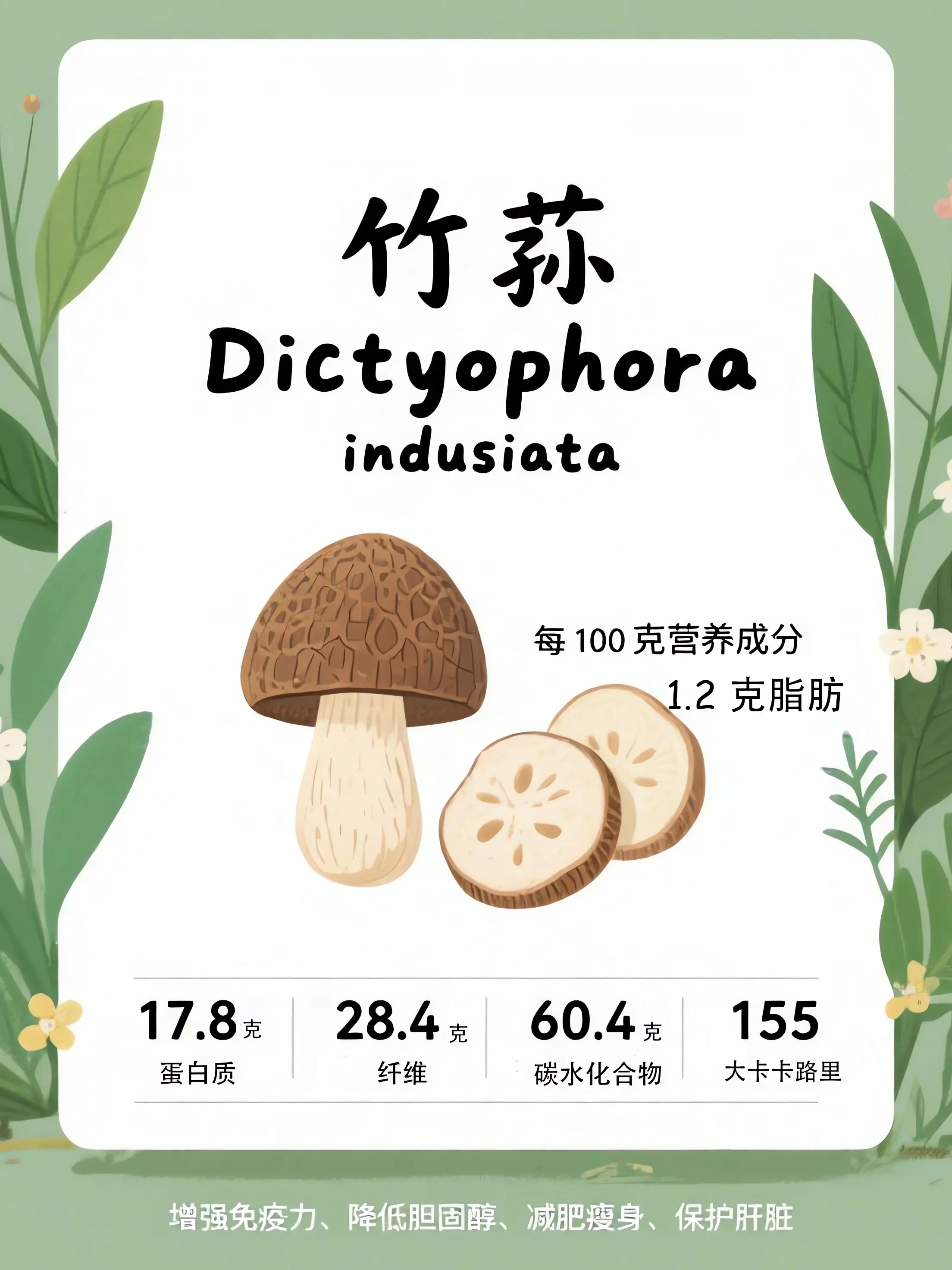 竹荪知識小課堂漫畫封面图片