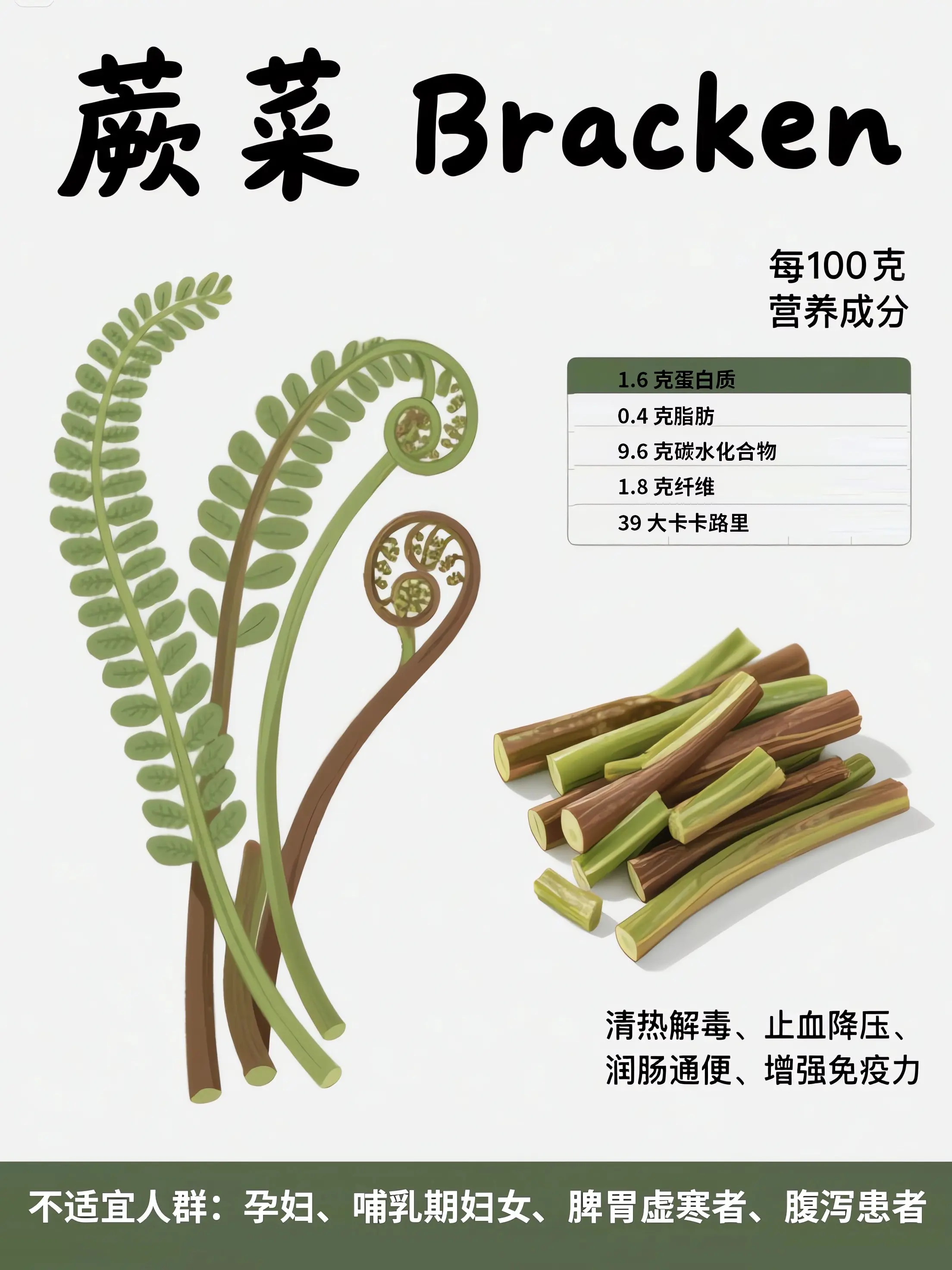 蕨菜知識小課堂漫畫封面图片