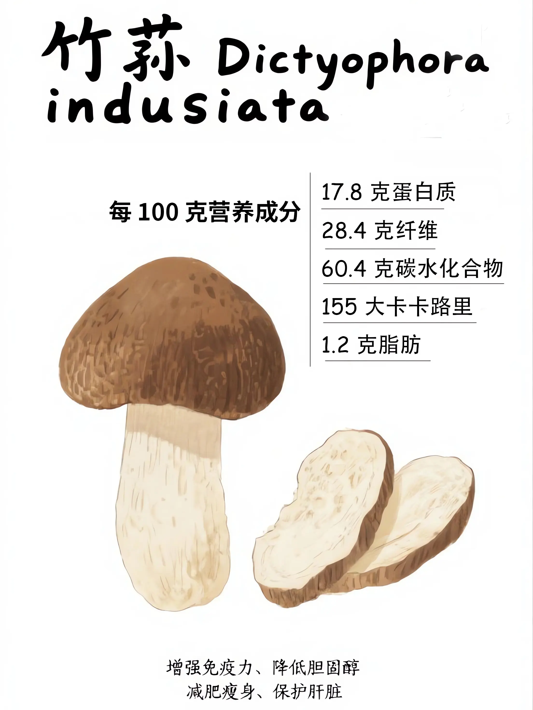 竹荪知識小課堂條漫免费在線閱讀