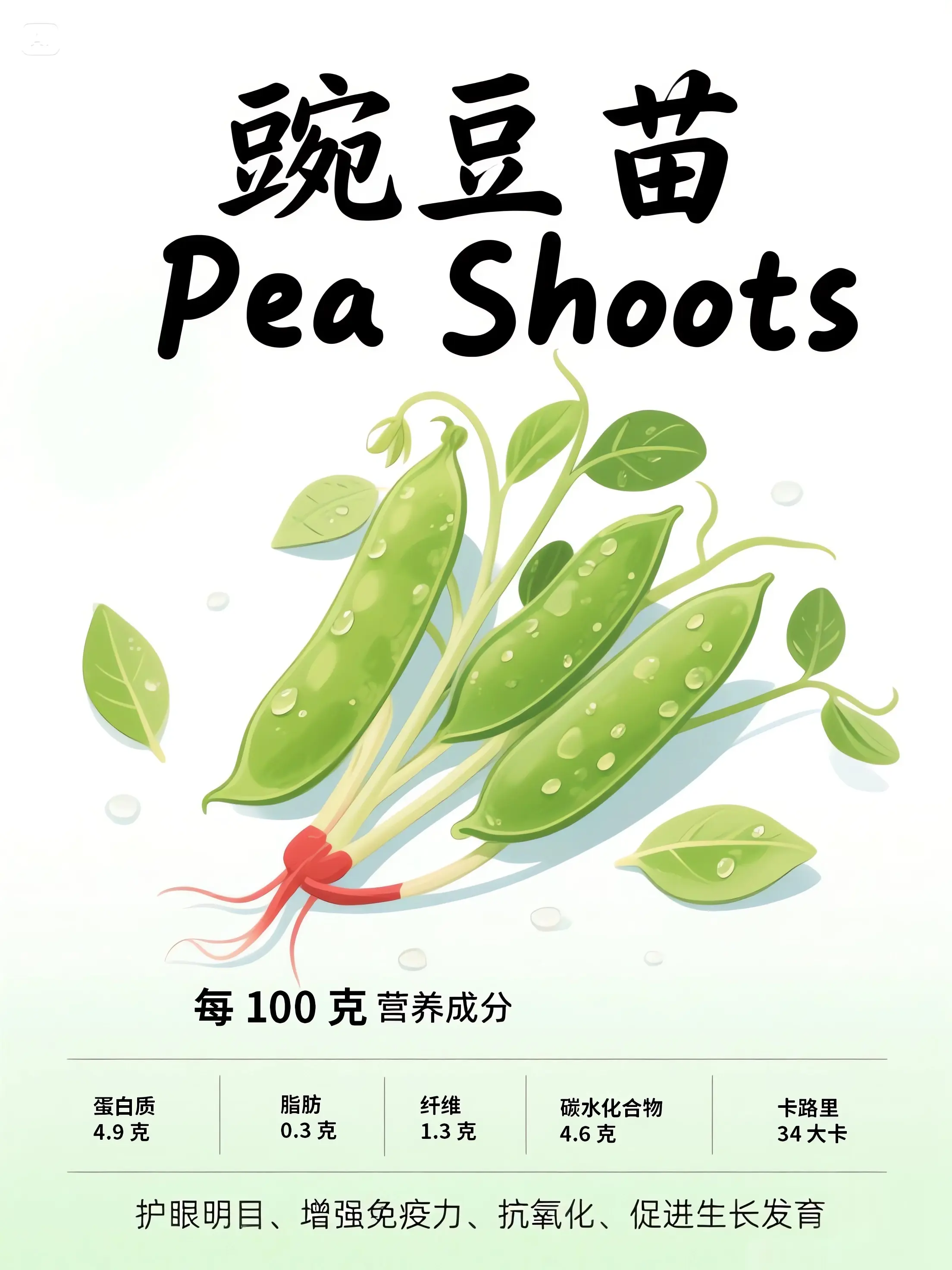 豌豆苗知識小課堂漫畫封面图片