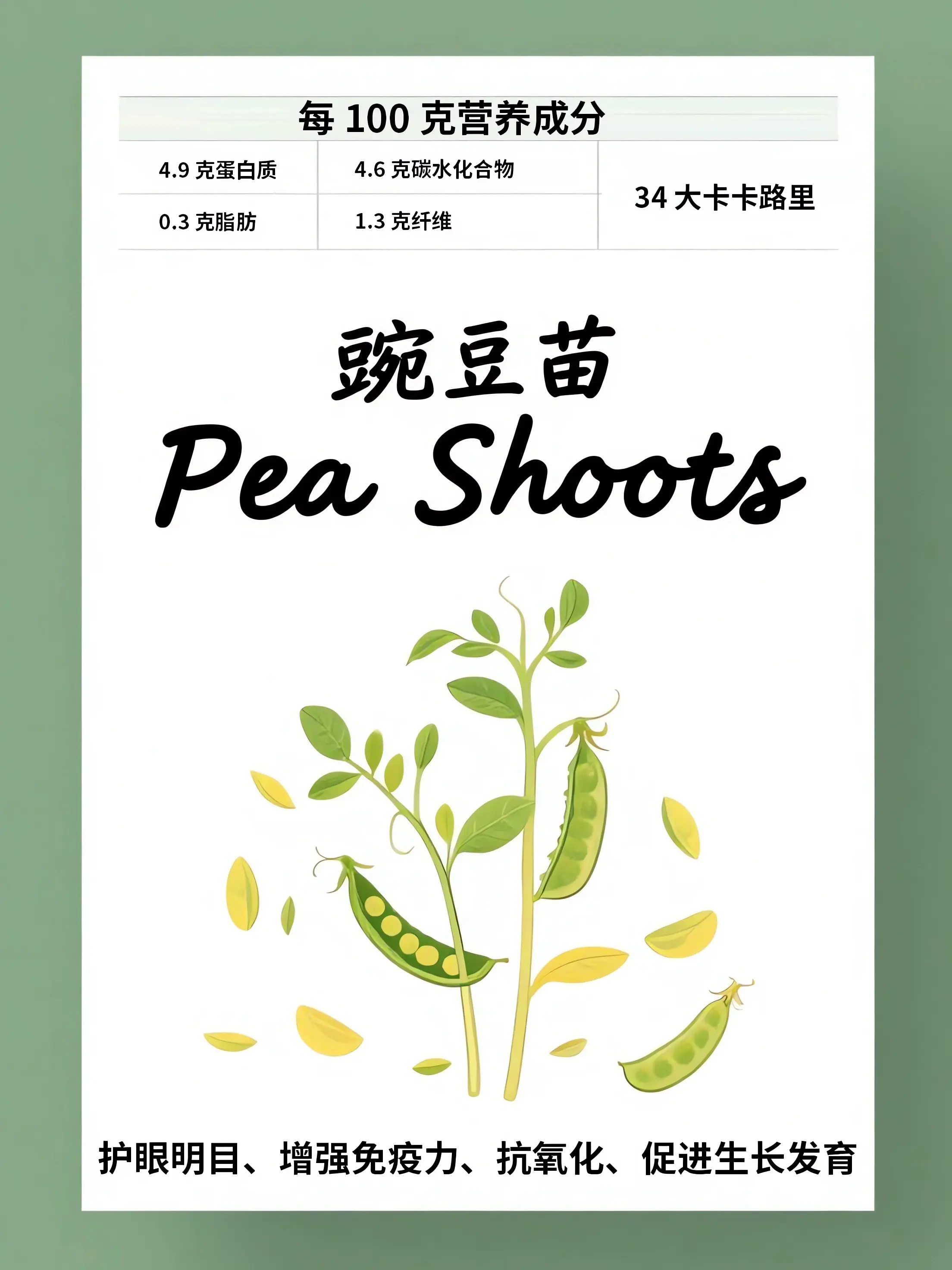 豌豆苗知識小課堂漫畫封面图片