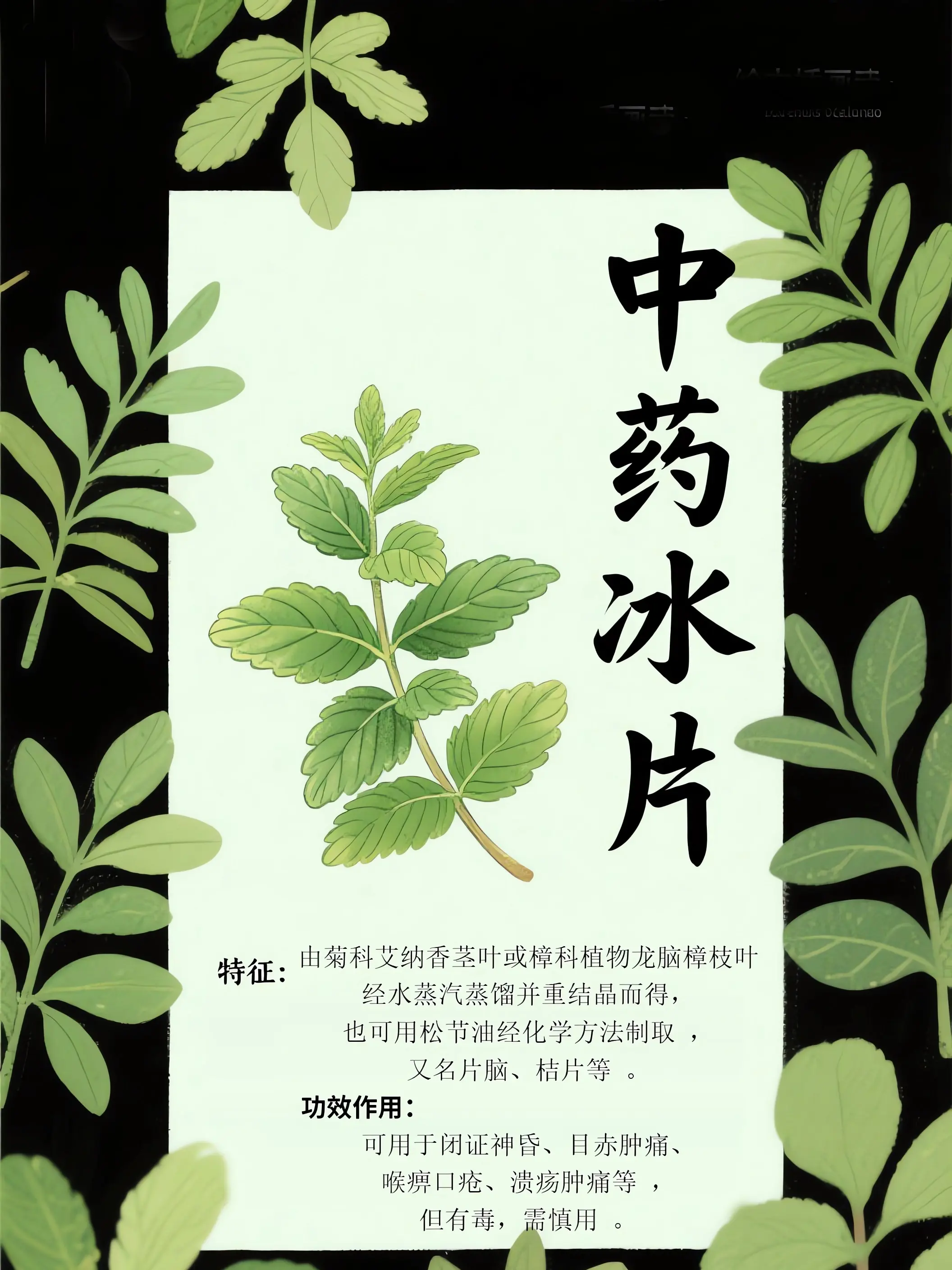 冰片中藥小課堂漫畫封面图片