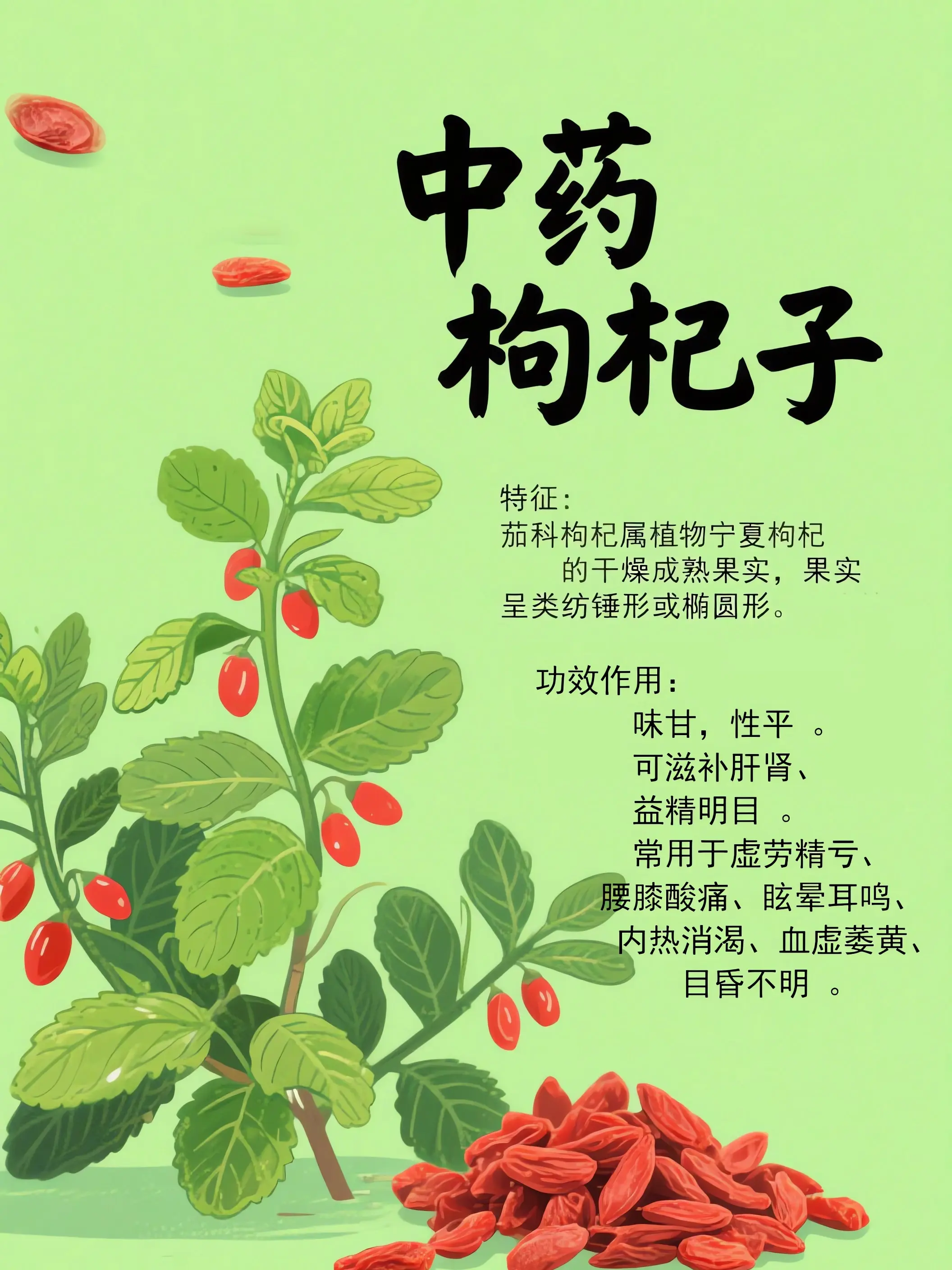 枸杞子中藥小課堂漫畫封面图片