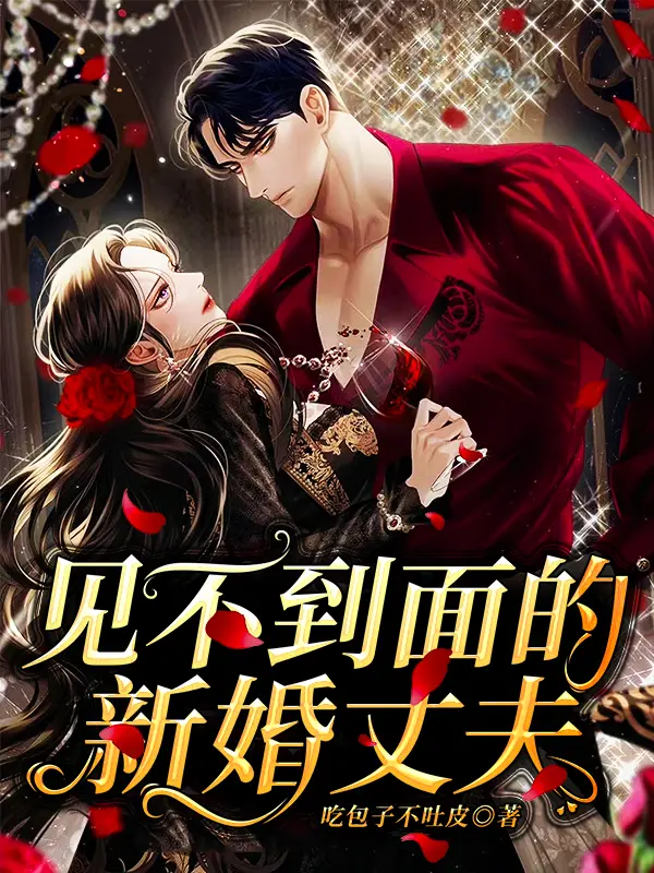见不到面的新婚丈夫封面图片