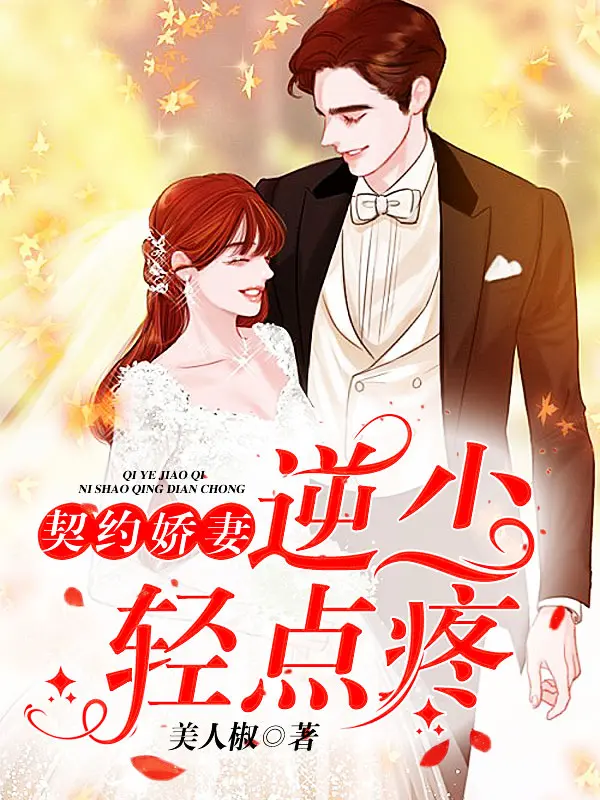 契約嬌妻：逆少輕點疼小說封面图片