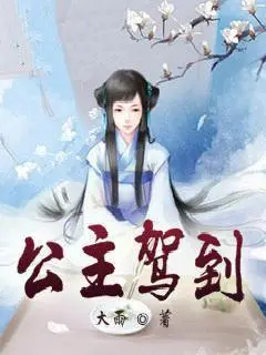 公主駕到封面图片
